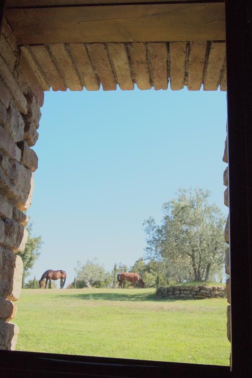 Podere Campovecchio Rapale Quarto foto